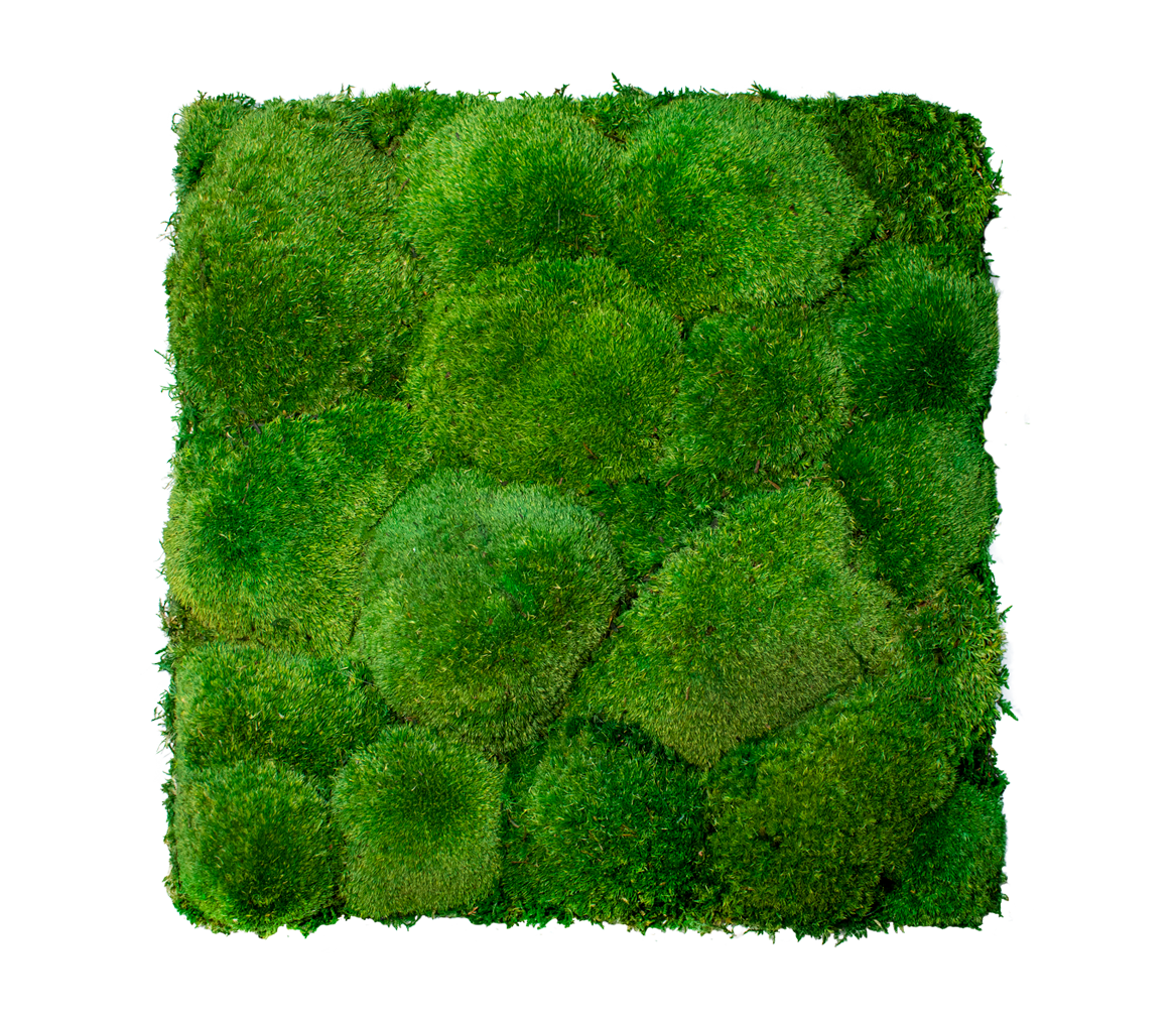 Bun custom Moss sign