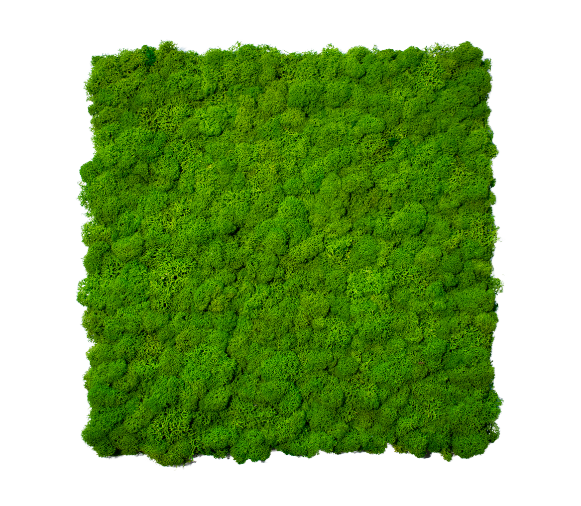 Reindeer custom Moss sign
